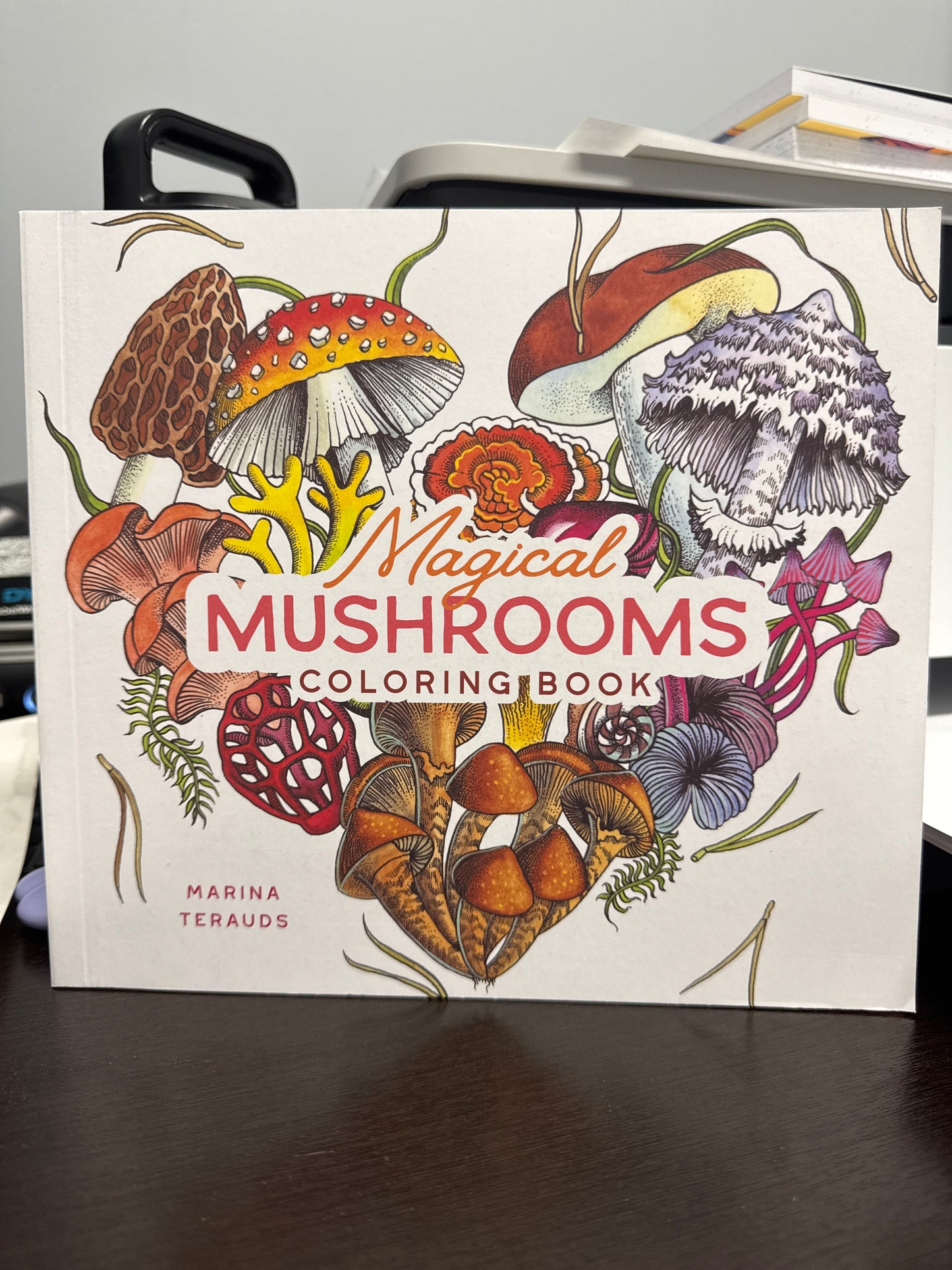 Magical Mushrooms coloring book
