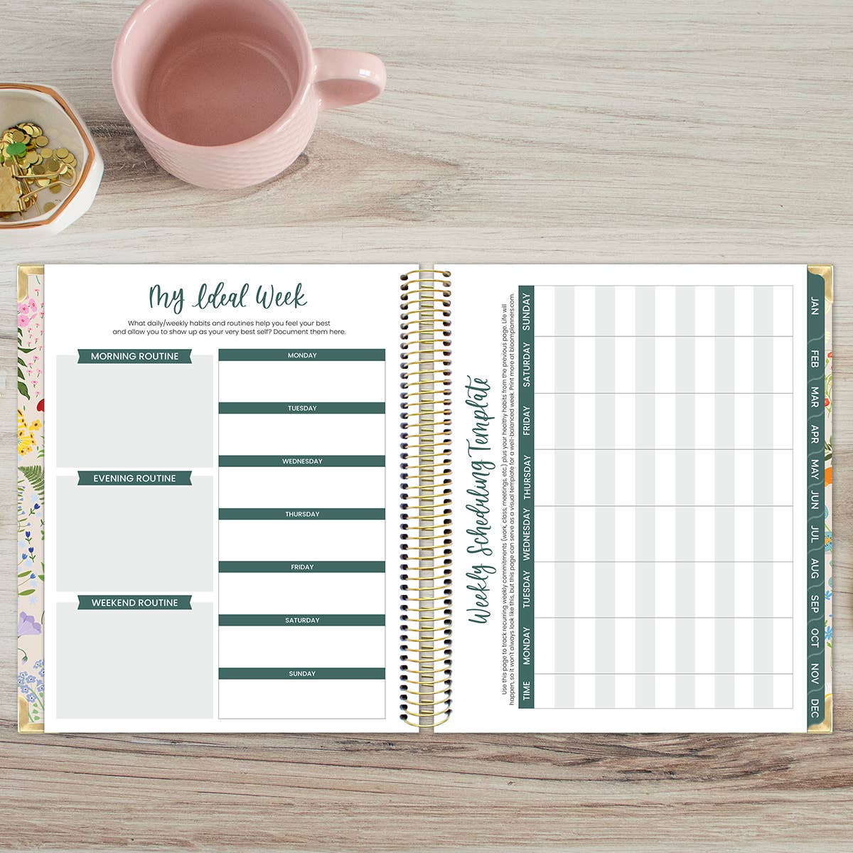 2026 Vision Planner - 7.5"x9" size: Beige Bouquet
