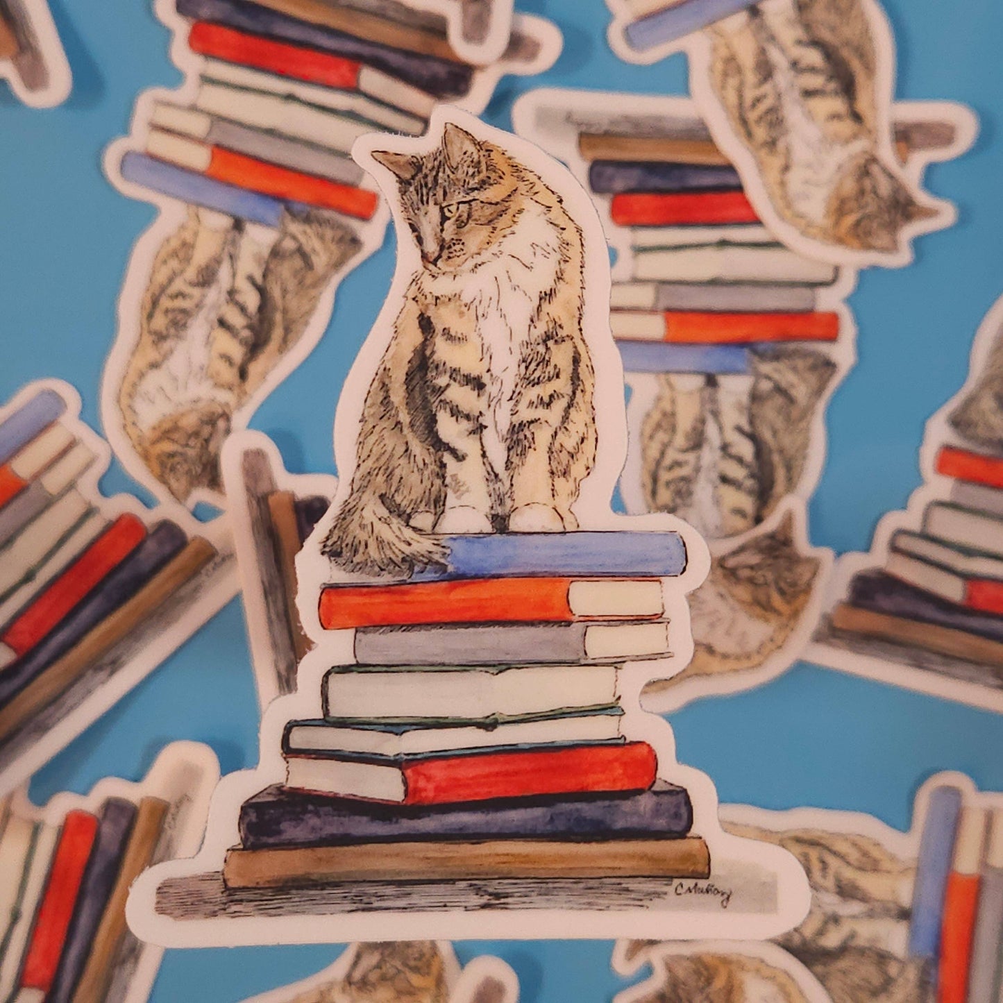 Which book? Cat Sticker  - 3x3” waterproof vinyl decal