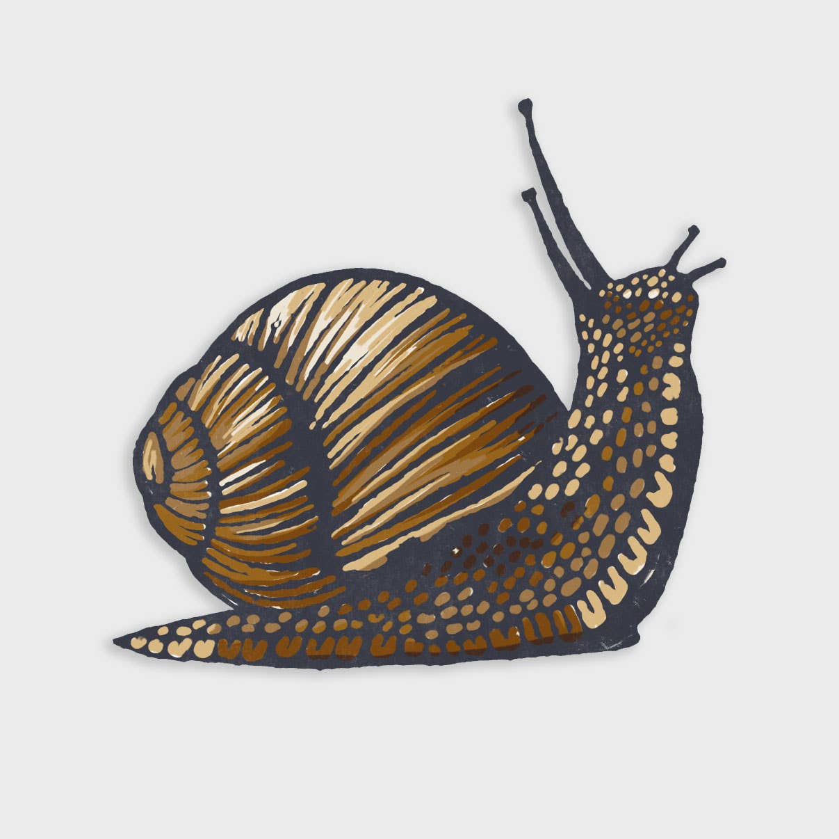 Snail Sticker: Vinyl