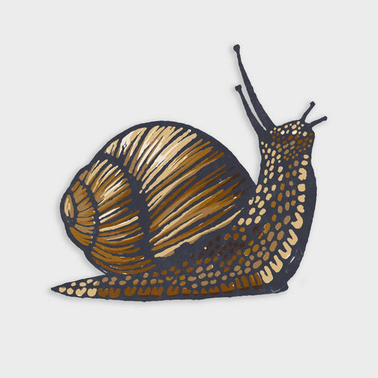 Snail Sticker: Vinyl