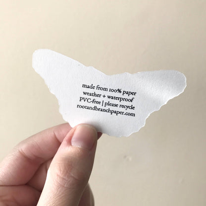 Luna Moth Paper Sticker