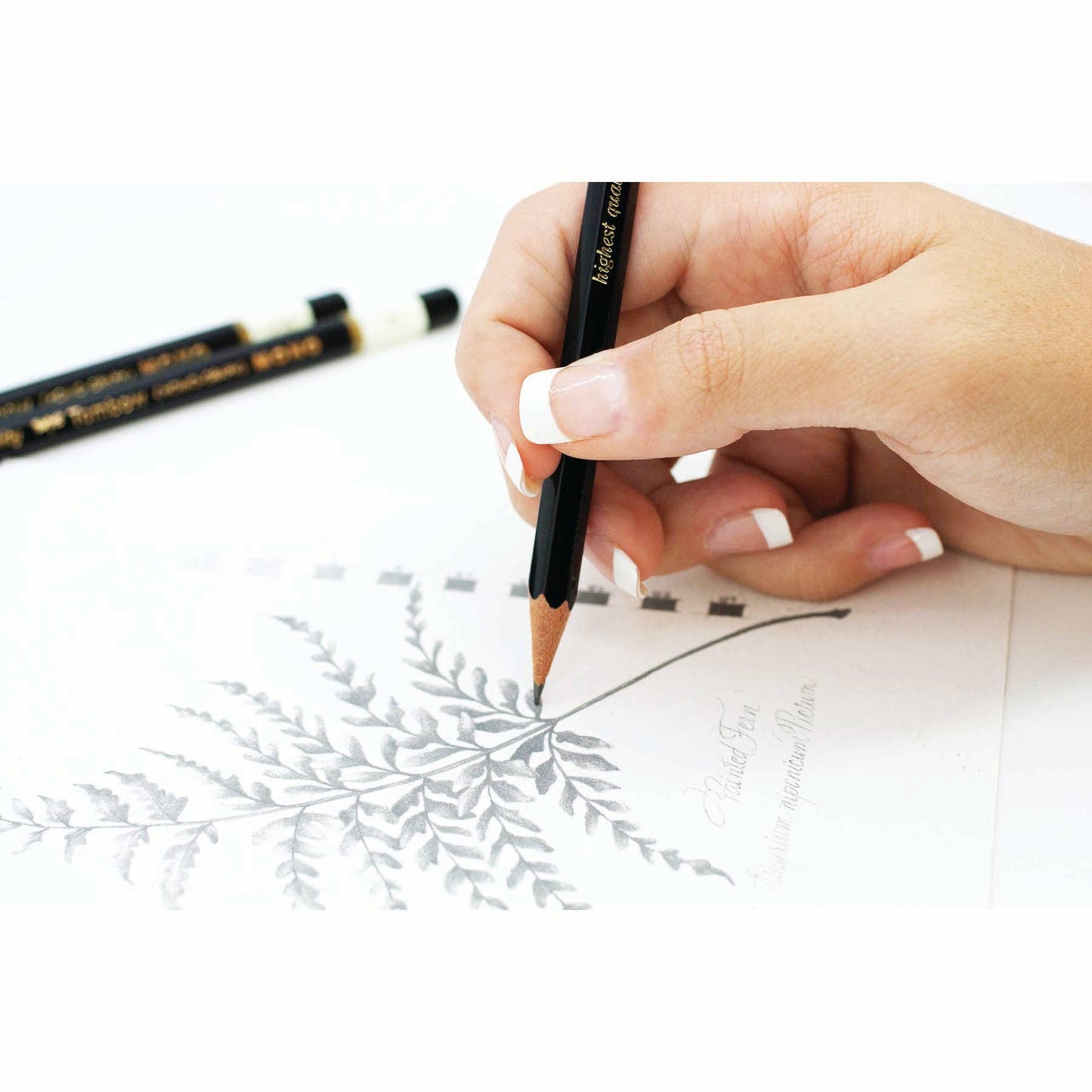 MONO Drawing Pencil