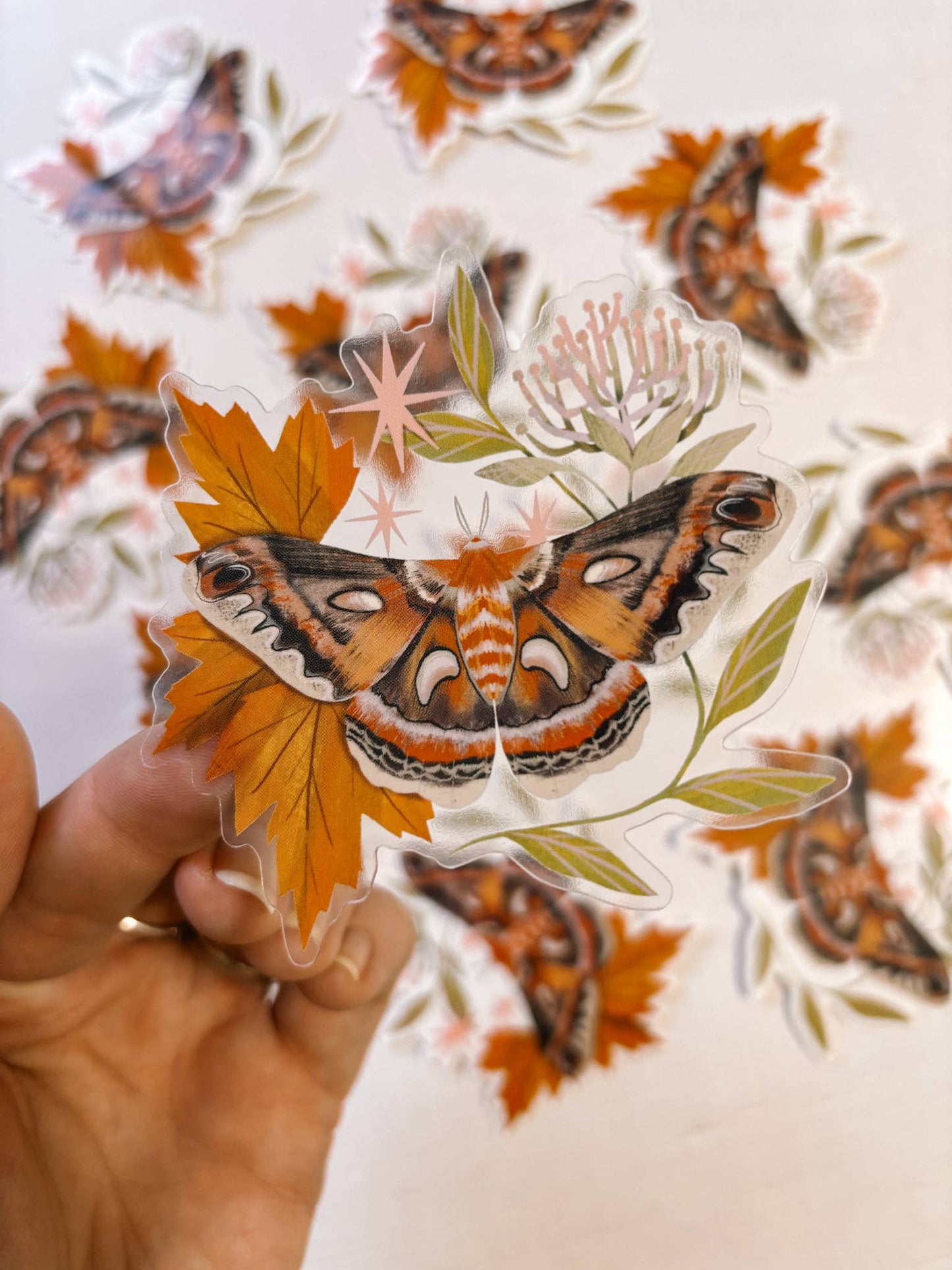 Vinyl Sticker: Cecropia Moth - 3" Clear