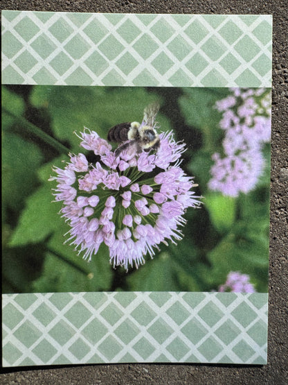 Postcard, Flower Bee