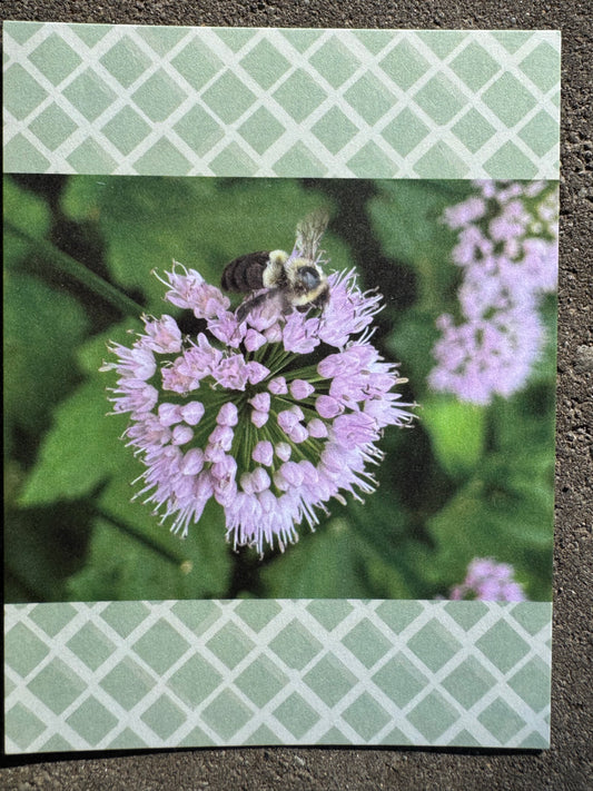 Postcard, Flower Bee