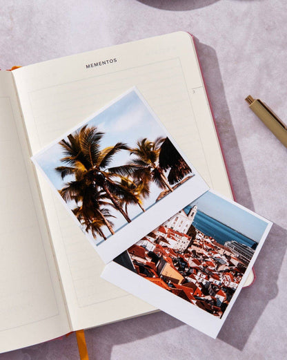 Travel Journal: Basil Green