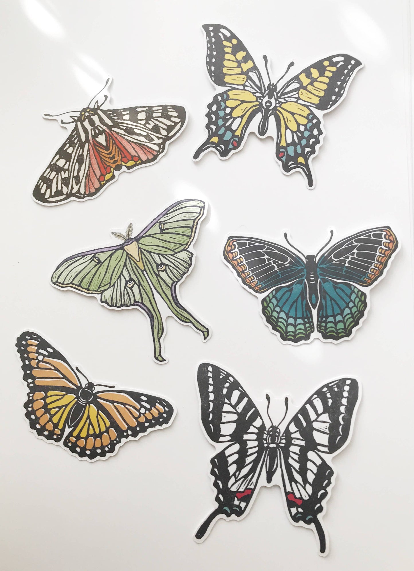 Luna Moth Paper Sticker