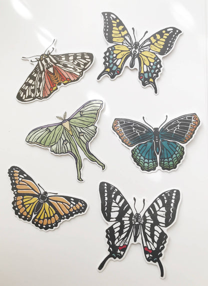 Luna Moth Paper Sticker