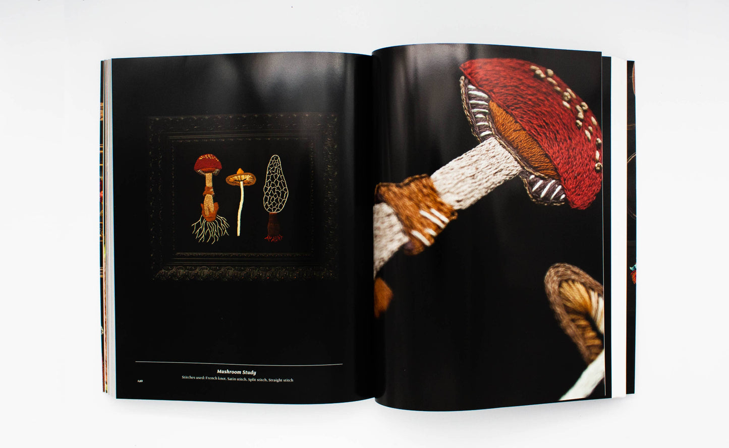 Stitchcraft: An Embroidery Book of Simple Stitches (Fall)