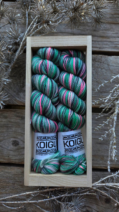 Holiday Sock Crates: P882 - Festive