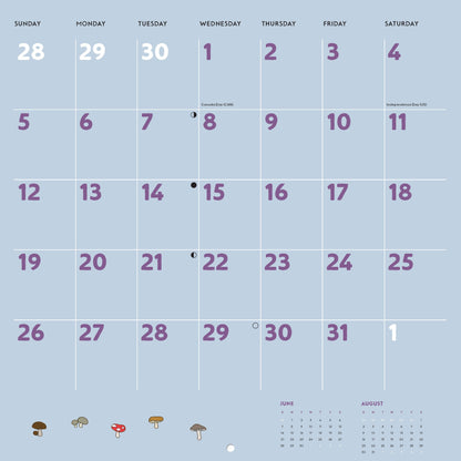 Studio Ghibli My Neighbor Totoro 2026 Wall Calendar
