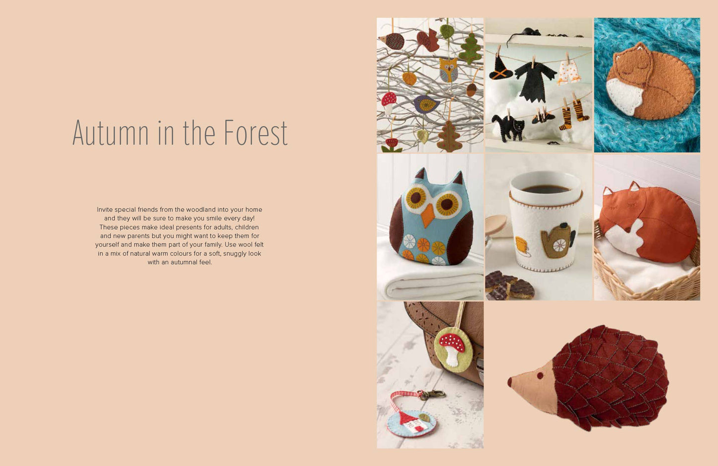 A Year of Felt Decorations