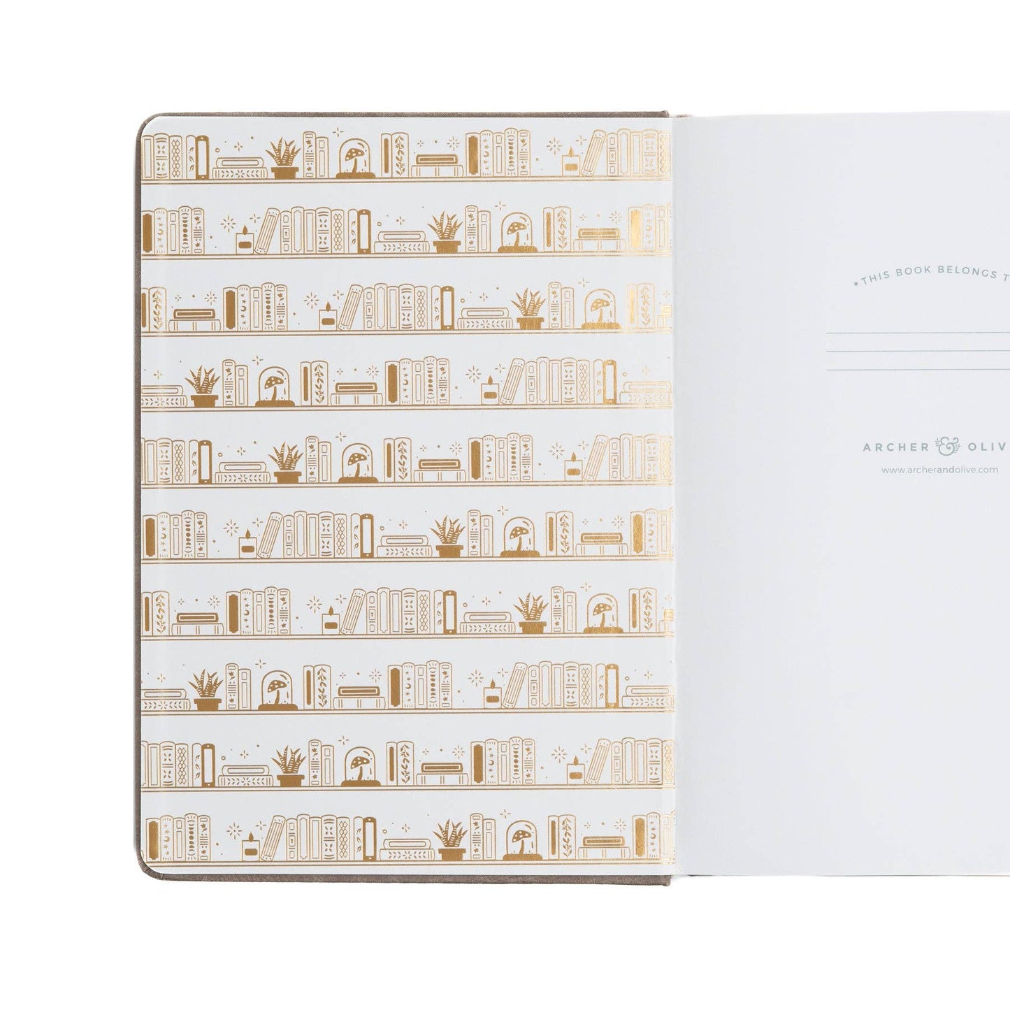 B6 Dot Grid: Bookshelf