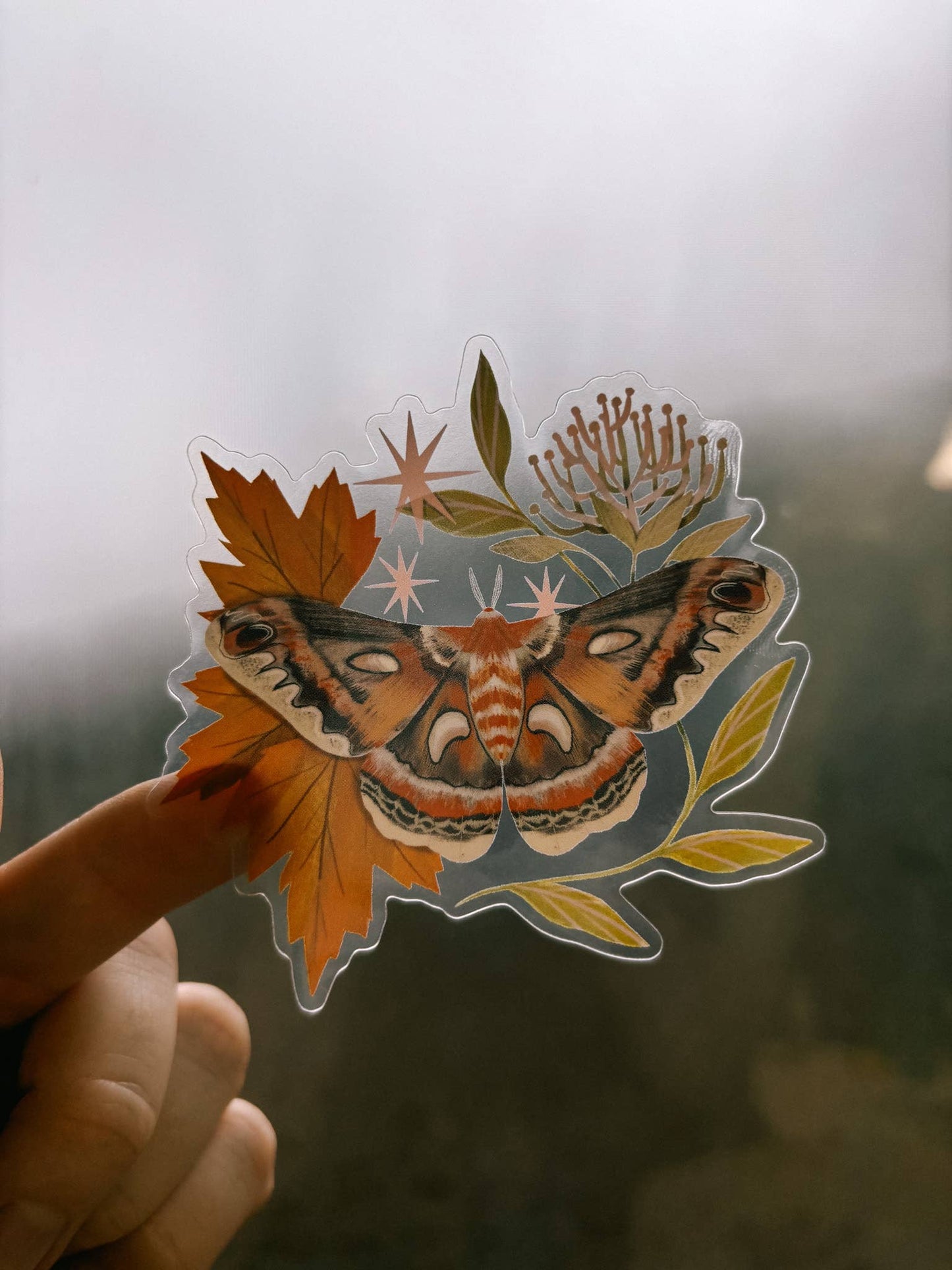 Vinyl Sticker: Cecropia Moth - 3" Clear