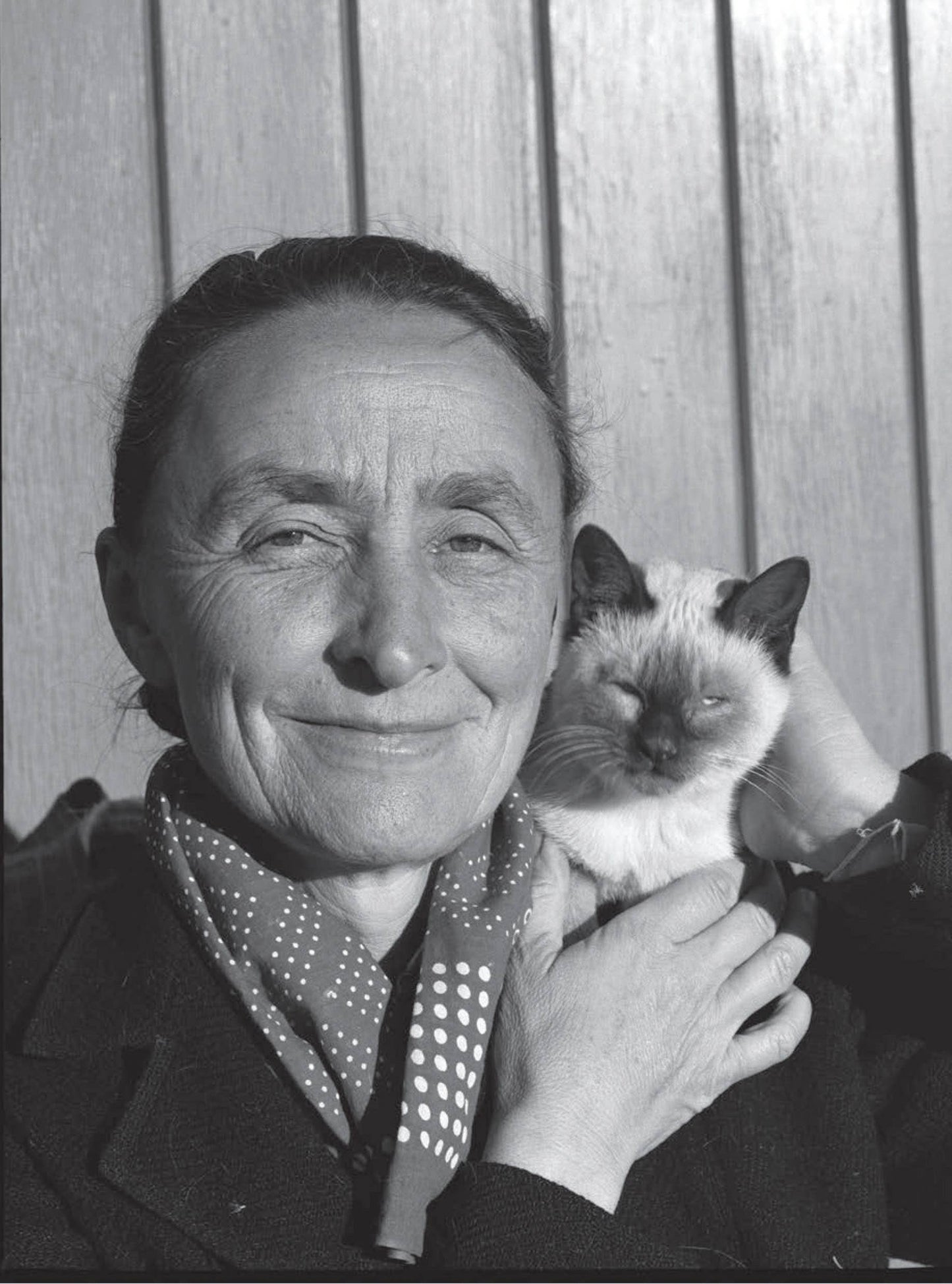 Artists and Their Cats