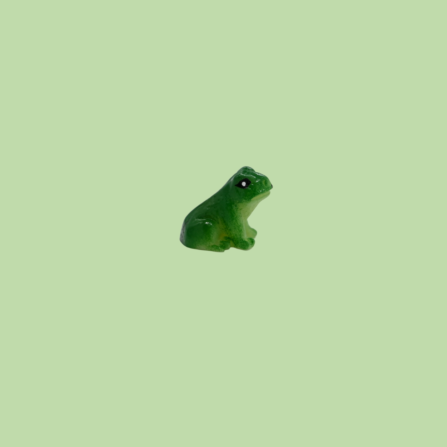 Pet Frog Friend