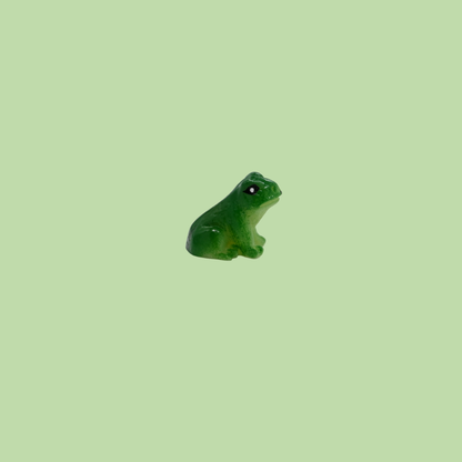 Pet Frog Friend