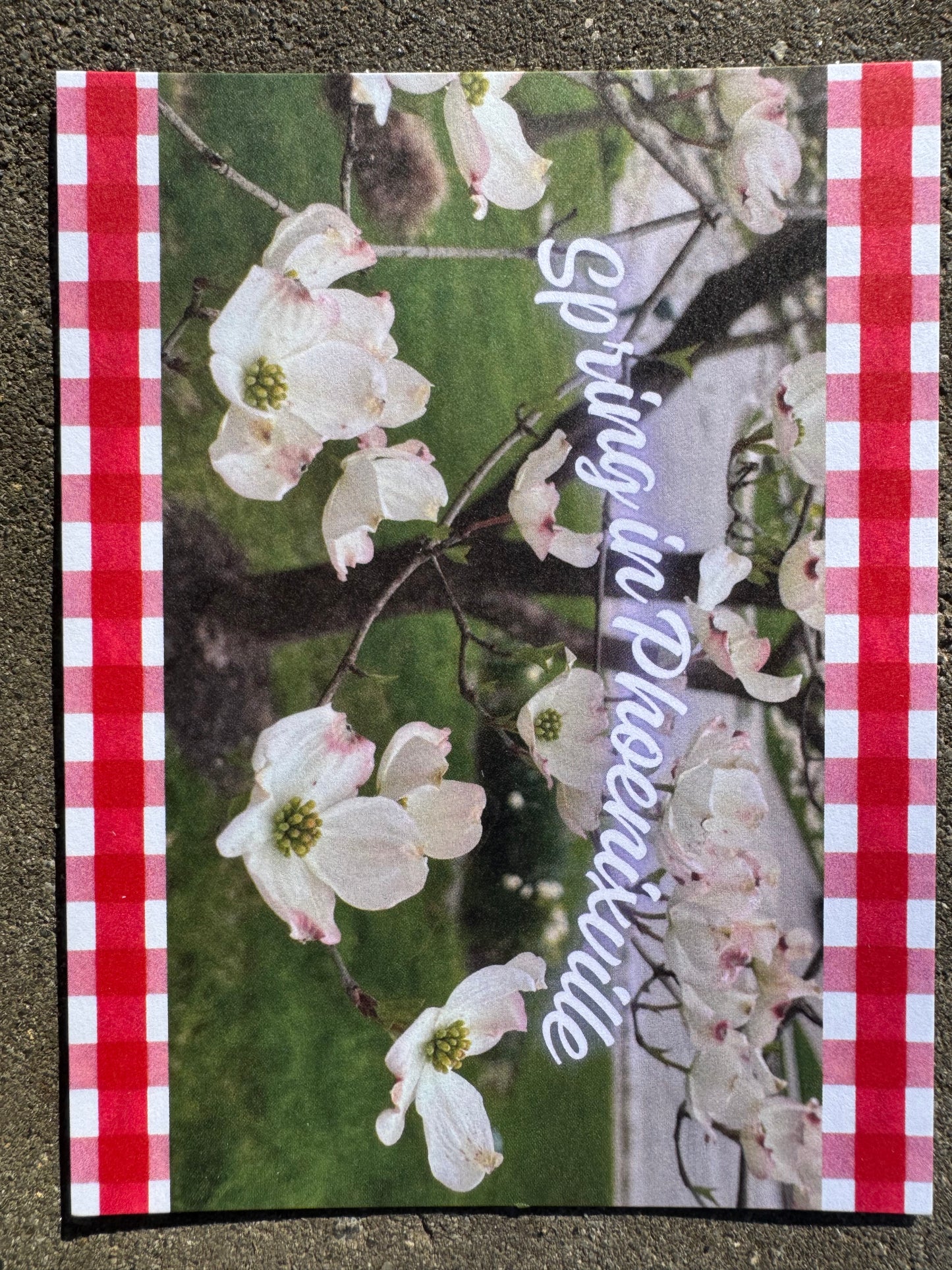 Postcard, Spring Phoenixville