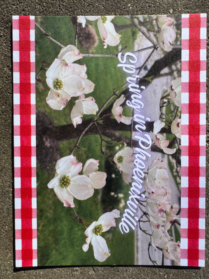 Postcard, Spring Phoenixville