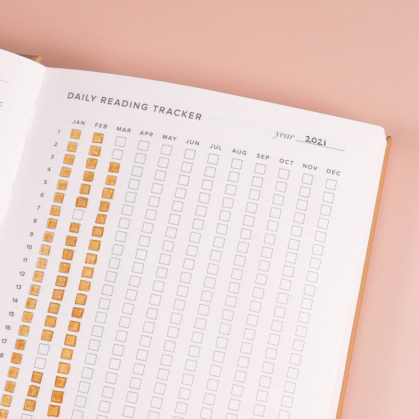 Reading Journal (Avid Reader): Blush
