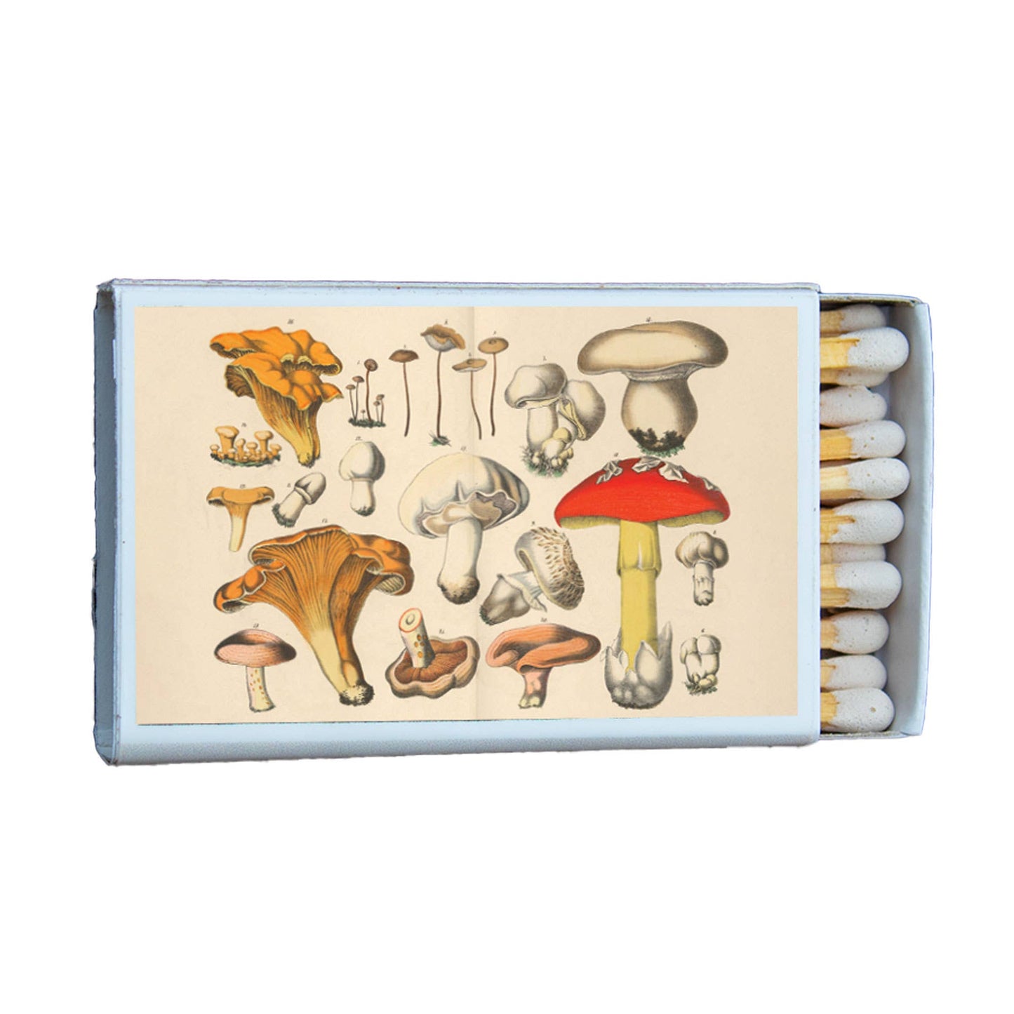 Mushroom Variety 1 Matchbox • Candle Acc • Matches