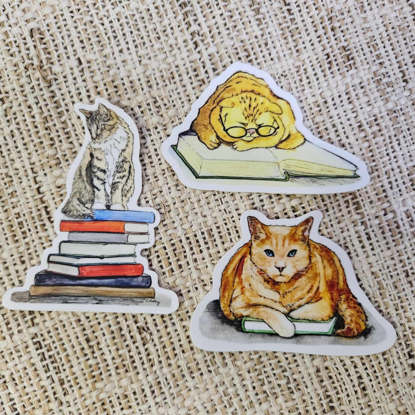 Which book? Cat Sticker  - 3x3” waterproof vinyl decal