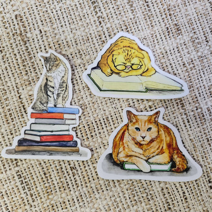Which book? Cat Sticker  - 3x3” waterproof vinyl decal