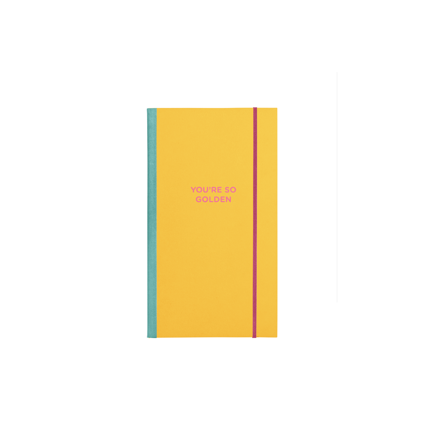 NEW! Skinny Notebooks