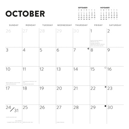 LEGO 2027 Wall Calendar