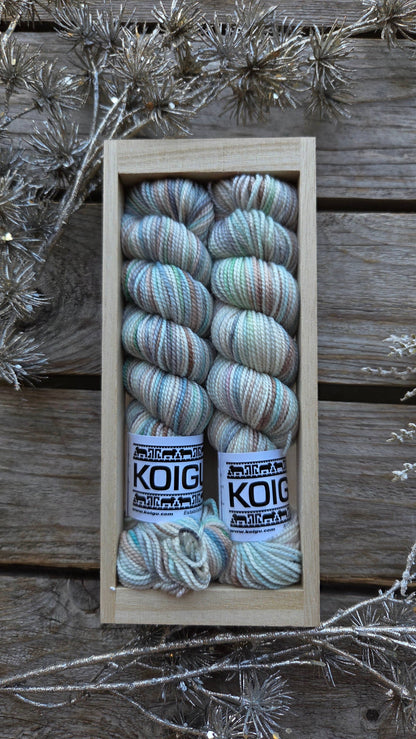 Holiday Sock Crates: P105D - Festive