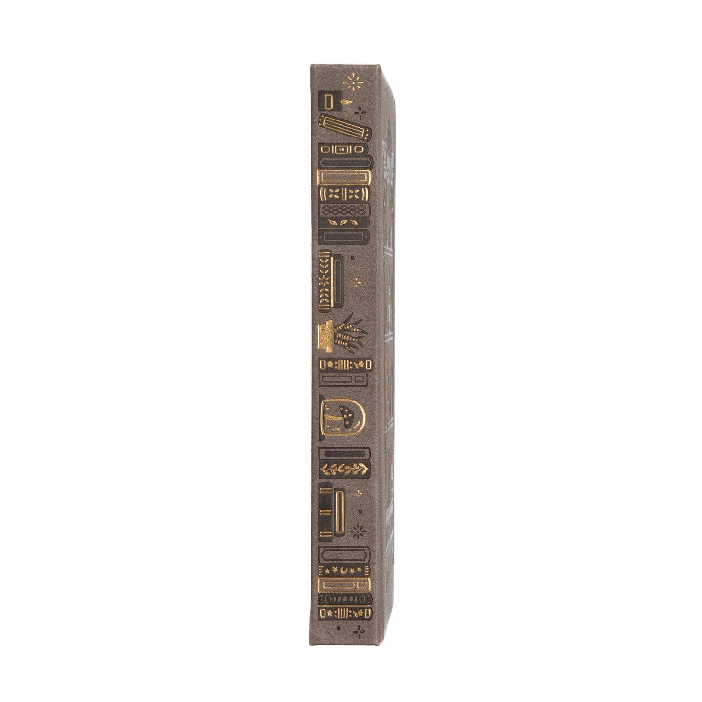 B6 Dot Grid: Bookshelf