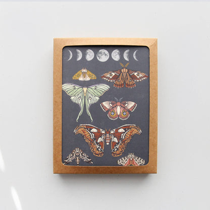 Moonlit Moths Everyday Boxed Card Set of 8