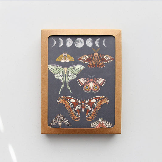 Moonlit Moths Everyday Boxed Card Set of 8