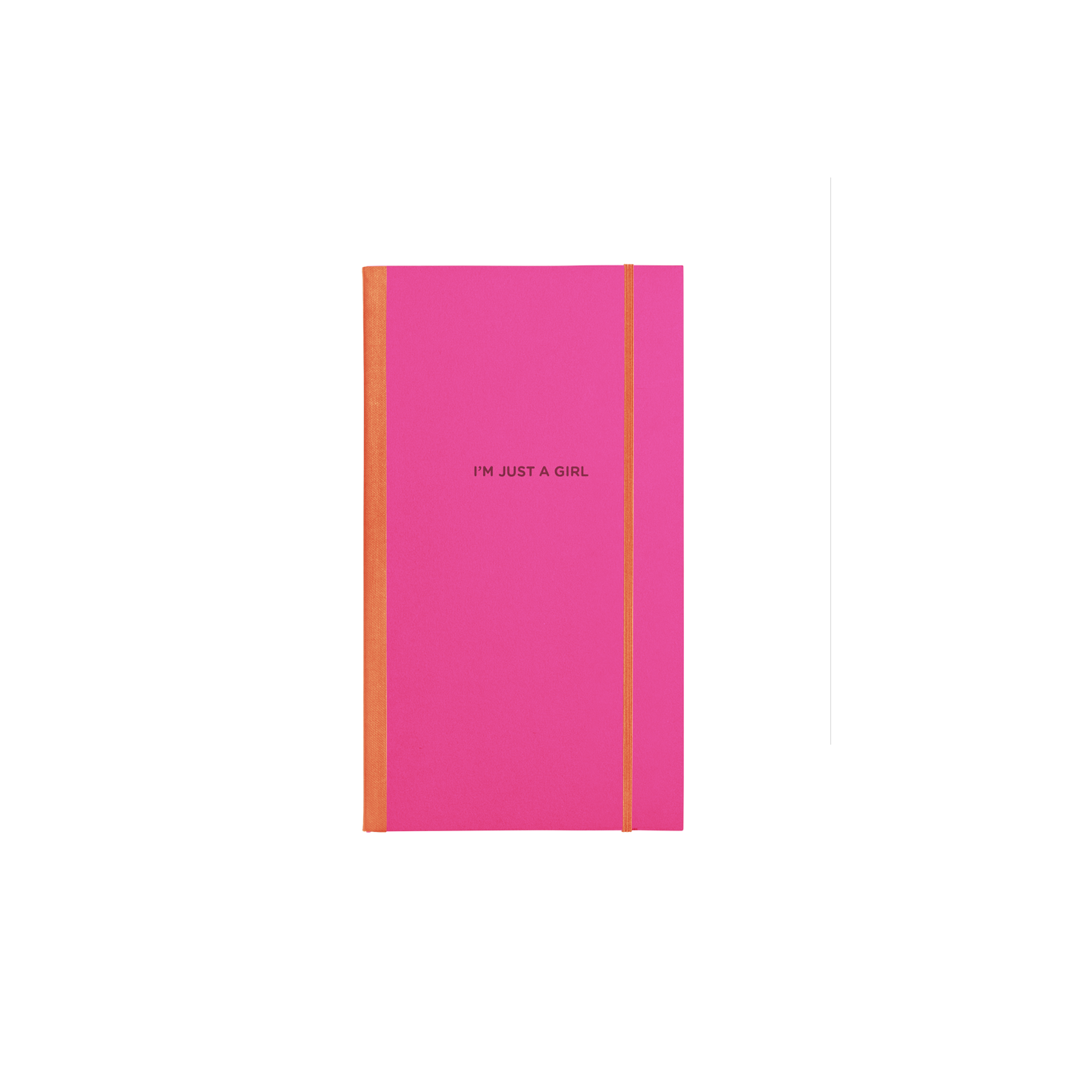 NEW! Skinny Notebooks