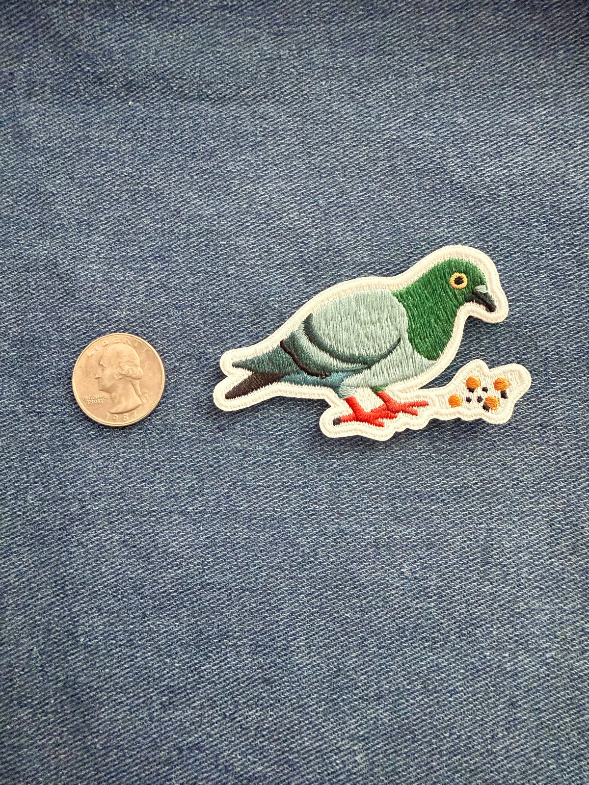 Pigeon Patch - Lrg
