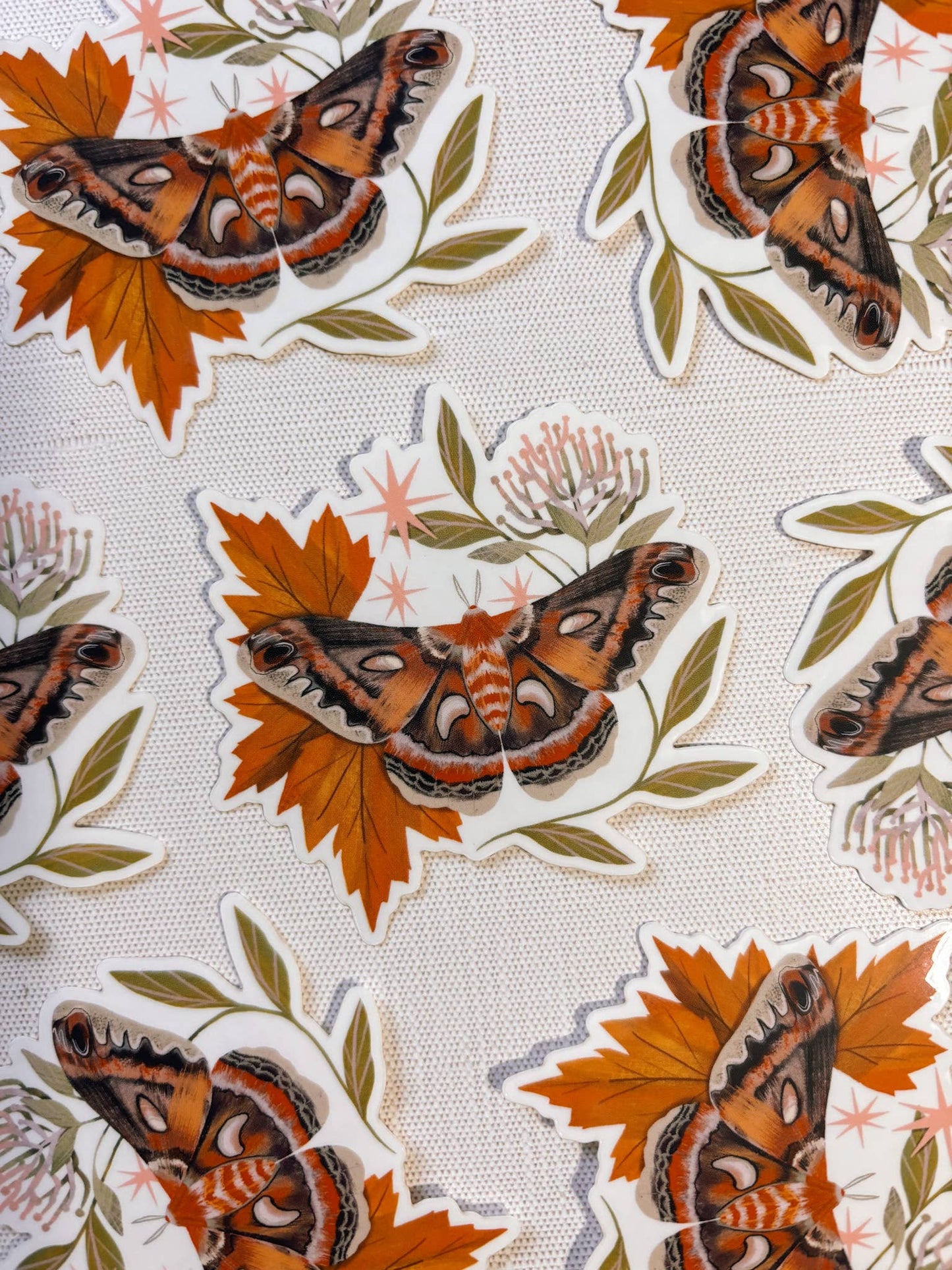 Vinyl Sticker: Cecropia Moth - 3" Clear